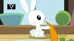 Size: 500x281 | Tagged: safe, screencap, angel bunny, zephyr breeze, pony, rabbit, flutter brutter, g4, animal, animated, carrot, discovery family logo, food, garden gnome, male, offscreen character, tv rating, tv-y
