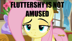 Size: 1920x1080 | Tagged: safe, edit, edited screencap, screencap, fluttershy, flutter brutter, g4, caption, discovery family logo, female, fluttershy is not amused, image macro, meme, solo, unamused