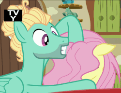 Size: 630x486 | Tagged: safe, screencap, fluttershy, zephyr breeze, pegasus, pony, flutter brutter, g4, animated, brother and sister, duo, female, loop, male, mane, mare, noogie, siblings, stallion, tv-y