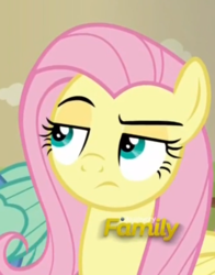 Size: 417x533 | Tagged: safe, screencap, fluttershy, gentle breeze, pegasus, pony, flutter brutter, g4, discovery family logo, female, fluttershy is not amused, mare, solo focus, unamused