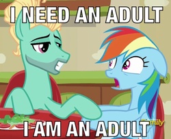 Size: 1231x1000 | Tagged: safe, edit, edited screencap, screencap, rainbow dash, zephyr breeze, pegasus, pony, flutter brutter, g4, caption, denied, dragon ball, dragon ball z, dragonball z abridged, female, hooves, i am an adult, i need an adult, male, mare, meme, ship:zephdash, shipping, stallion, straight, team four star