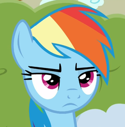 Size: 424x431 | Tagged: safe, screencap, rainbow dash, pony, flutter brutter, g4, female, mare, solo