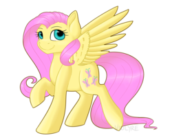 Size: 1600x1280 | Tagged: safe, artist:violyre, fluttershy, pegasus, pony, g4, female, simple background, solo, transparent background