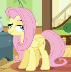 Size: 336x344 | Tagged: safe, screencap, fluttershy, pony, flutter brutter, g4, female, fluttershy is not amused, mare, raised eyebrow, solo, unamused