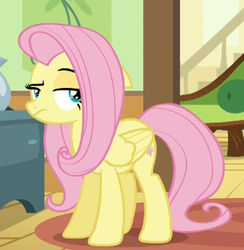 Size: 336x344 | Tagged: safe, screencap, fluttershy, pony, flutter brutter, g4, my little pony: friendship is magic, female, fluttershy is not amused, mare, raised eyebrow, solo, unamused