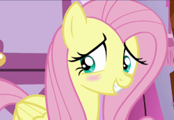 Size: 732x508 | Tagged: safe, screencap, fluttershy, pony, flutter brutter, g4, animated, blush sticker, blushing, cute, female, loop, shyabetes