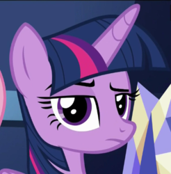 Size: 377x383 | Tagged: safe, screencap, twilight sparkle, alicorn, pony, flutter brutter, g4, cropped, looking at you, raised eyebrow, reaction image, twilight sparkle (alicorn), twilight sparkle is not amused