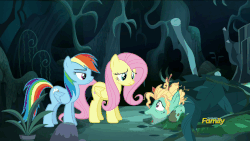 Size: 883x497 | Tagged: safe, screencap, fluttershy, rainbow dash, zephyr breeze, pegasus, pony, flutter brutter, g4, animated, dirty, discovery family logo, female, loop, male, mare, siblings, stallion, trio