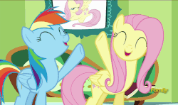 Size: 860x508 | Tagged: safe, screencap, fluttershy, rainbow dash, pony, flutter brutter, g4, animated, discovery family logo, female, loop