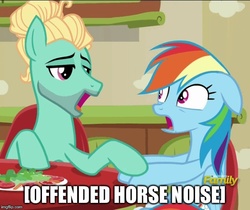 Size: 596x500 | Tagged: safe, edit, edited screencap, screencap, rainbow dash, zephyr breeze, pegasus, pony, flutter brutter, g4, caption, descriptive noise, discovery family logo, duo, female, floppy ears, frown, horse noises, image macro, male, mare, meme, offended, open mouth, personal space invasion, ship:zephdash, shipping, stallion, straight, wide eyes