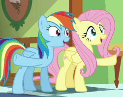 Size: 606x479 | Tagged: safe, screencap, fluttershy, rainbow dash, pony, flutter brutter, g4, animated, female, loop