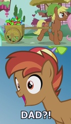 Size: 506x882 | Tagged: safe, edit, edited screencap, screencap, button mash, fluttershy, lyra heartstrings, quarter hearts, pony, flutter brutter, g4, caption, cart, colt, cutie mark, father and child, father and son, gemstones, heart container, image macro, link, male, meme, rupee, text, the legend of zelda