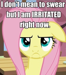 Size: 836x940 | Tagged: safe, edit, edited screencap, screencap, fluttershy, pony, flutter brutter, g4, 30 rock, >:c, caption, female, g rated profanity, image macro, irritated, kenneth parcell, meme, peeved, solo