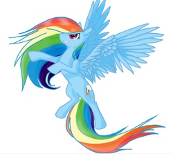 Size: 840x749 | Tagged: safe, artist:biscuitmango, rainbow dash, g4, female, flying, solo