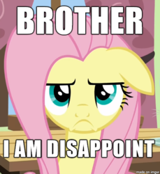 Size: 433x473 | Tagged: safe, edit, edited screencap, screencap, fluttershy, flutter brutter, g4, caption, dialogue, disappointed, i am disappoint, image macro, meme