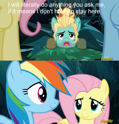 Size: 1294x1354 | Tagged: safe, screencap, fluttershy, rainbow dash, zephyr breeze, pony, flutter brutter, g4, my little pony: friendship is magic, context is for the weak, discovery family logo