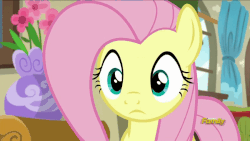 Size: 850x478 | Tagged: safe, screencap, fluttershy, pegasus, pony, flutter brutter, g4, season 6, animated, discovery family logo, female, fluttershy is not amused, lidded eyes, mare, raised eyebrow, solo, unamused