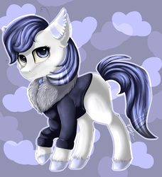 Size: 1353x1485 | Tagged: safe, artist:ognevitsa, oc, oc only, abstract background, clothes, signature, solo, unshorn fetlocks