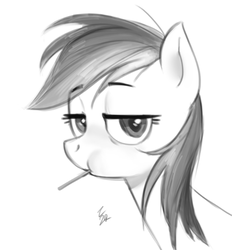 Size: 549x592 | Tagged: safe, artist:ehfa, rainbow dash, pegasus, pony, g4, bust, candy, female, food, grayscale, lidded eyes, lollipop, looking at you, monochrome, portrait, simple background, solo, white background