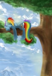 Size: 809x1200 | Tagged: safe, artist:rainbowgambler, rainbow dash, pony, g4, female, sleeping, solo, tree