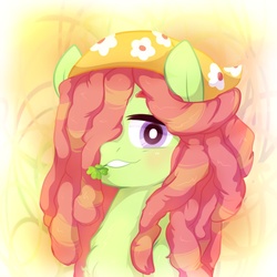 Size: 1000x1000 | Tagged: safe, artist:undery, tree hugger, earth pony, pony, g4, blushing, bust, chest fluff, clover, female, four leaf clover, hair over one eye, looking at you, mare, mouth hold, portrait, smiling, solo