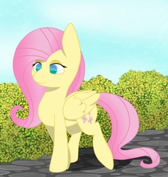 Size: 1227x1293 | Tagged: safe, artist:dybekscoots, fluttershy, g4, female, solo