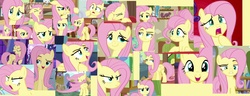 Size: 3528x1352 | Tagged: safe, screencap, angel bunny, fluttershy, gentle breeze, rainbow dash, rarity, zephyr breeze, pegasus, pony, unicorn, flutter brutter, g4, angry, collage, cute, female, flutterrage, fluttershy is not amused, gritted teeth, madorable, mare, multeity, unamused