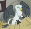 Size: 106x97 | Tagged: safe, screencap, gillian, griffon, g4, the lost treasure of griffonstone, cropped, picture for breezies