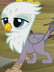 Size: 289x388 | Tagged: safe, screencap, graff, griffon, g4, the lost treasure of griffonstone, background griffon, chickub, cute, graffabetes, li'l griffon, solo