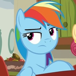 Size: 487x487 | Tagged: safe, screencap, rainbow dash, pony, flutter brutter, g4, avatar, disinterested, female, mare, solo