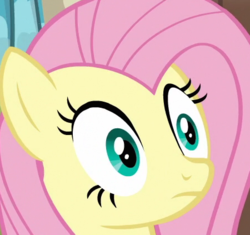 Size: 450x423 | Tagged: safe, fluttershy, flutter brutter, g4, i've seen some shit, reaction image