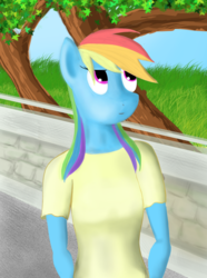 Size: 1080x1452 | Tagged: safe, artist:animerge, rainbow dash, anthro, g4, female, solo, wingless, wingless anthro