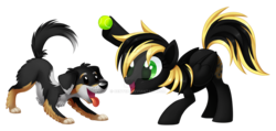 Size: 1600x762 | Tagged: safe, artist:centchi, oc, oc only, oc:rayva, dog, ball, duo, hoof hold, watermark