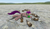 Size: 900x527 | Tagged: safe, artist:squidzle, oc, oc only, oc:squidzle, pegasus, pony, 3d, bottle, drunk, gmod, solo