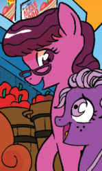Size: 255x427 | Tagged: safe, idw, pony, friends forever #9, g4, my little pony: friends forever, spoiler:comic, christina rice, ponified, unnamed character, unnamed pony
