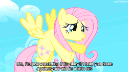 Size: 500x281 | Tagged: safe, edit, edited screencap, screencap, fluttershy, pegasus, pony, g4, the return of harmony, animated, caption, cute, dialogue, episode quote, female, flying, image macro, mare, meme, out of context, out of context quote, subtitles, text