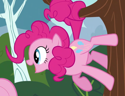 Size: 771x591 | Tagged: safe, screencap, pinkie pie, earth pony, pony, g4, it ain't easy being breezies, season 4, pinkie being pinkie, prehensile tail, tree