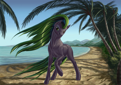 Size: 3508x2480 | Tagged: safe, artist:kirillk, mane-iac, earth pony, pony, g4, beach, female, high res, missing accessory, palm tree, solo, tree