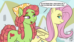 Size: 1280x720 | Tagged: safe, artist:ponut_joe, fluttershy, tree hugger, earth pony, pegasus, pony, g4, bedroom eyes, female, looking at each other, mare, open mouth, smiling