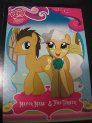 Size: 675x900 | Tagged: safe, doctor whooves, mayor mare, time turner, earth pony, pony, g4, irl, male, photo, stallion, tcg, trading card