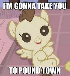 Size: 370x400 | Tagged: safe, edit, edited screencap, screencap, pound cake, pegasus, pony, g4, baby, caption, image macro, innuendo, meme, solo, text