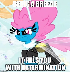 Size: 500x513 | Tagged: safe, edit, edited screencap, screencap, cotton (g4), seabreeze, breezie, g4, it ain't easy being breezies, determination, image macro, male, meme, reference, solo, undertale, unnamed breezie, unnamed character