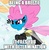 Size: 500x513 | Tagged: safe, edit, edited screencap, screencap, cotton (g4), seabreeze, breezie, g4, it ain't easy being breezies, my little pony: friendship is magic, determination, image macro, male, meme, reference, solo, undertale, unnamed breezie, unnamed character