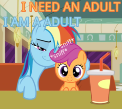 Size: 759x681 | Tagged: safe, edit, rainbow dash, scootaloo, pony, g4, the saddle row review, blue text, diner, dragon ball, dragon ball z, dragonball z abridged, faic, female, filly, i am an adult, i need an adult, image macro, interview, lesbian, mare, meme, orange text, scootalove, ship:scootadash, shipping, smug, smugdash, sniffing