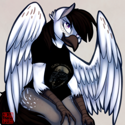 Size: 2000x2000 | Tagged: safe, artist:rattlesire, oc, oc only, oc:glace plume, classical hippogriff, hippogriff, anthro, black sabbath, clothes, high res, plump, solo, t-shirt