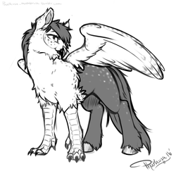 Size: 2000x2000 | Tagged: safe, artist:phathusa, oc, oc only, oc:glace plume, classical hippogriff, hippogriff, female, grayscale, high res, monochrome, quadrupedal, simple background, solo, white background