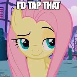 Size: 415x415 | Tagged: safe, edit, edited screencap, screencap, fluttershy, pony, derpibooru, flutter brutter, g4, female, i'd fuck it, image macro, innuendo, meme, meta, smugshy, solo