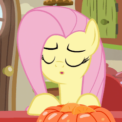 Size: 500x500 | Tagged: safe, screencap, fluttershy, pony, flutter brutter, g4, season 6, animated, eyes closed, female, loop, solo