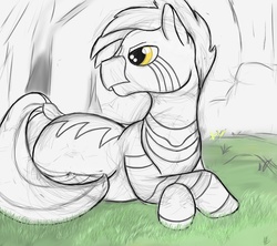 Size: 1800x1600 | Tagged: safe, artist:curious, oc, oc only, oc:curious, zebra, 2014, forest, grass, ipad, prone, simple background, sitting, sketch, solo