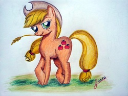 Size: 1280x960 | Tagged: safe, artist:shuahl, applejack, g4, female, solo, traditional art